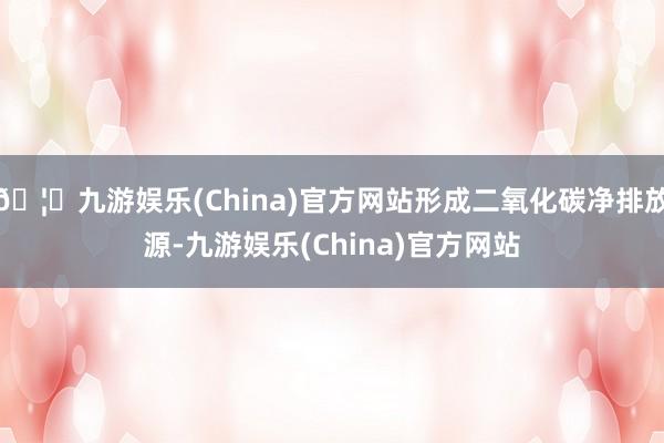🦄九游娱乐(China)官方网站形成二氧化碳净排放源-九游娱乐(China)官方网站