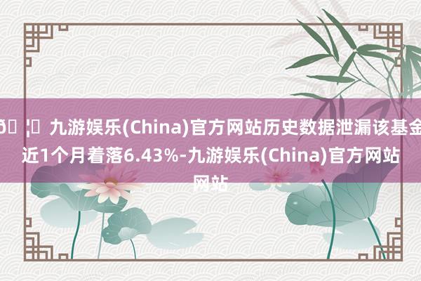 🦄九游娱乐(China)官方网站历史数据泄漏该基金近1个月着落6.43%-九游娱乐(China)官方网站