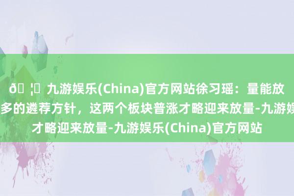 🦄九游娱乐(China)官方网站徐习瑶：量能放松意味着资金莫得更多的遴荐方针，这两个板块普涨才略迎来放量-九游娱乐(China)官方网站