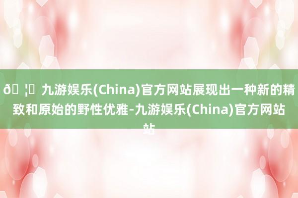 🦄九游娱乐(China)官方网站展现出一种新的精致和原始的野性优雅-九游娱乐(China)官方网站