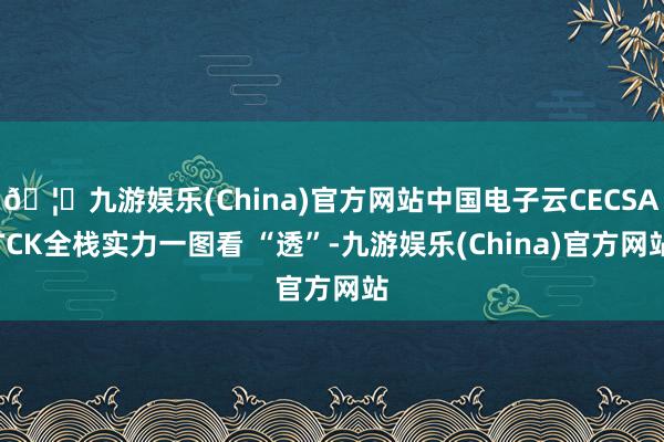 🦄九游娱乐(China)官方网站中国电子云CECSATCK全栈实力一图看 “透”-九游娱乐(China)官方网站