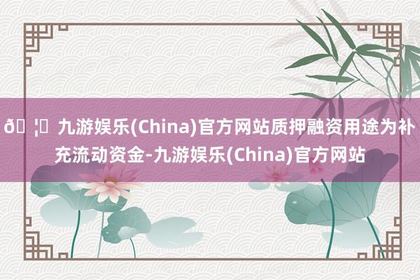 🦄九游娱乐(China)官方网站质押融资用途为补充流动资金-九游娱乐(China)官方网站
