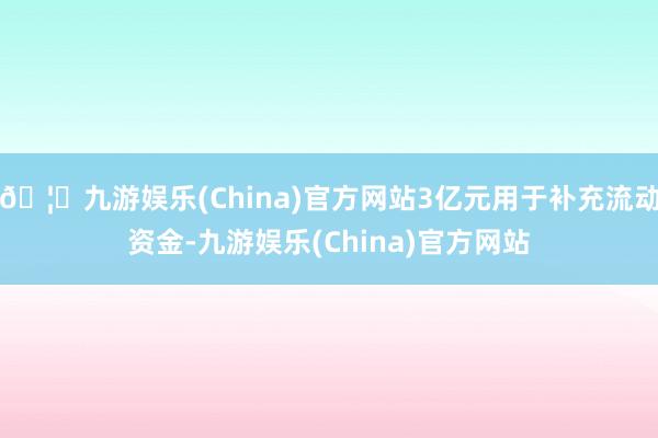 🦄九游娱乐(China)官方网站3亿元用于补充流动资金-九游娱乐(China)官方网站
