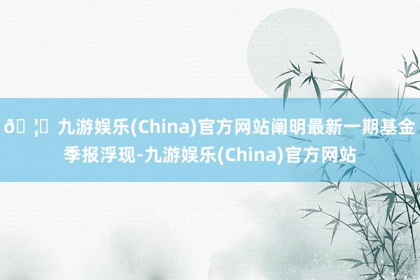 🦄九游娱乐(China)官方网站阐明最新一期基金季报浮现-九游娱乐(China)官方网站