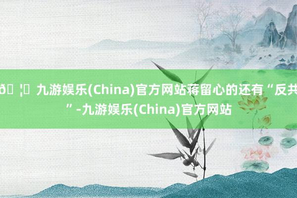 🦄九游娱乐(China)官方网站蒋留心的还有“反共”-九游娱乐(China)官方网站