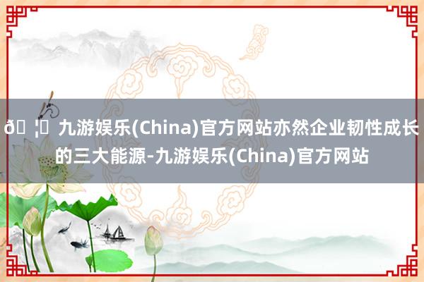 🦄九游娱乐(China)官方网站亦然企业韧性成长的三大能源-九游娱乐(China)官方网站