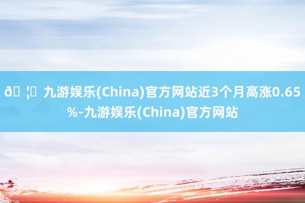🦄九游娱乐(China)官方网站近3个月高涨0.65%-九游娱乐(China)官方网站