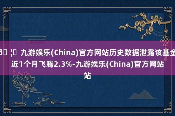 🦄九游娱乐(China)官方网站历史数据泄露该基金近1个月飞腾2.3%-九游娱乐(China)官方网站