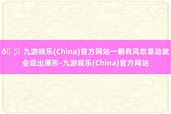 🦄九游娱乐(China)官方网站一朝有风吹草动就会现出原形-九游娱乐(China)官方网站