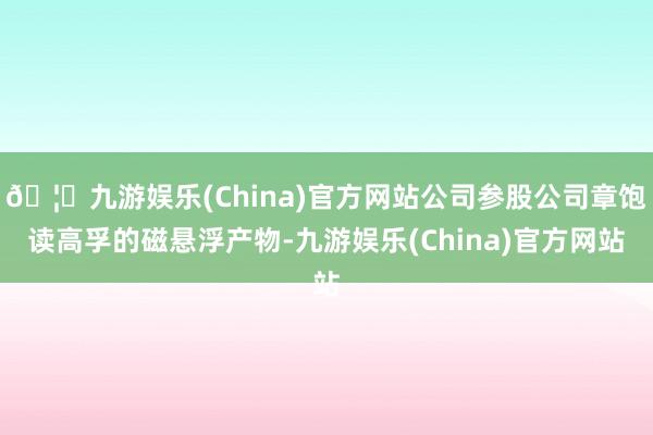 🦄九游娱乐(China)官方网站公司参股公司章饱读高孚的磁悬浮产物-九游娱乐(China)官方网站