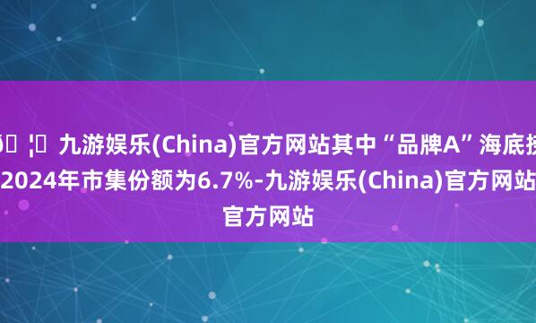 🦄九游娱乐(China)官方网站其中“品牌A”海底捞2024年市集份额为6.7%-九游娱乐(China)官方网站