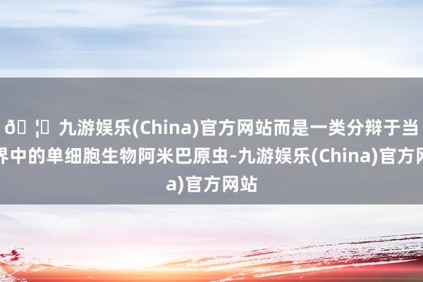 🦄九游娱乐(China)官方网站而是一类分辩于当然界中的单细胞生物阿米巴原虫-九游娱乐(China)官方网站