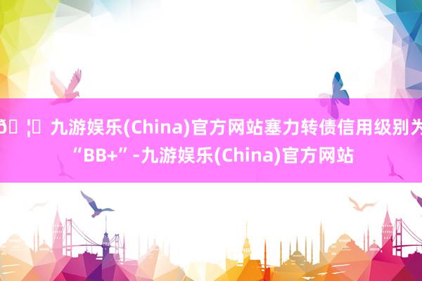 🦄九游娱乐(China)官方网站塞力转债信用级别为“BB+”-九游娱乐(China)官方网站