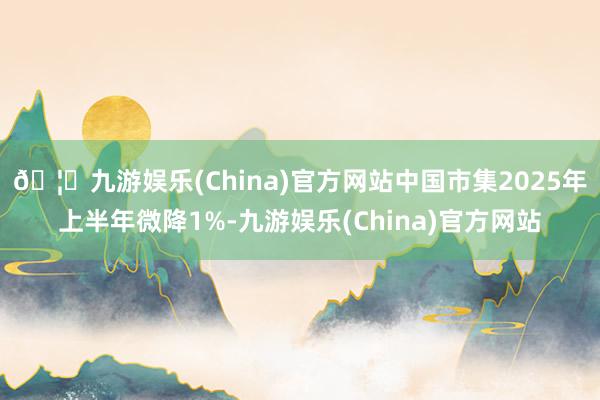 🦄九游娱乐(China)官方网站中国市集2025年上半年微降1%-九游娱乐(China)官方网站
